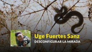 Ciclo de charlas - Uge Fuertes Sanz