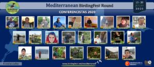 Mediterranean BirdingFest Round